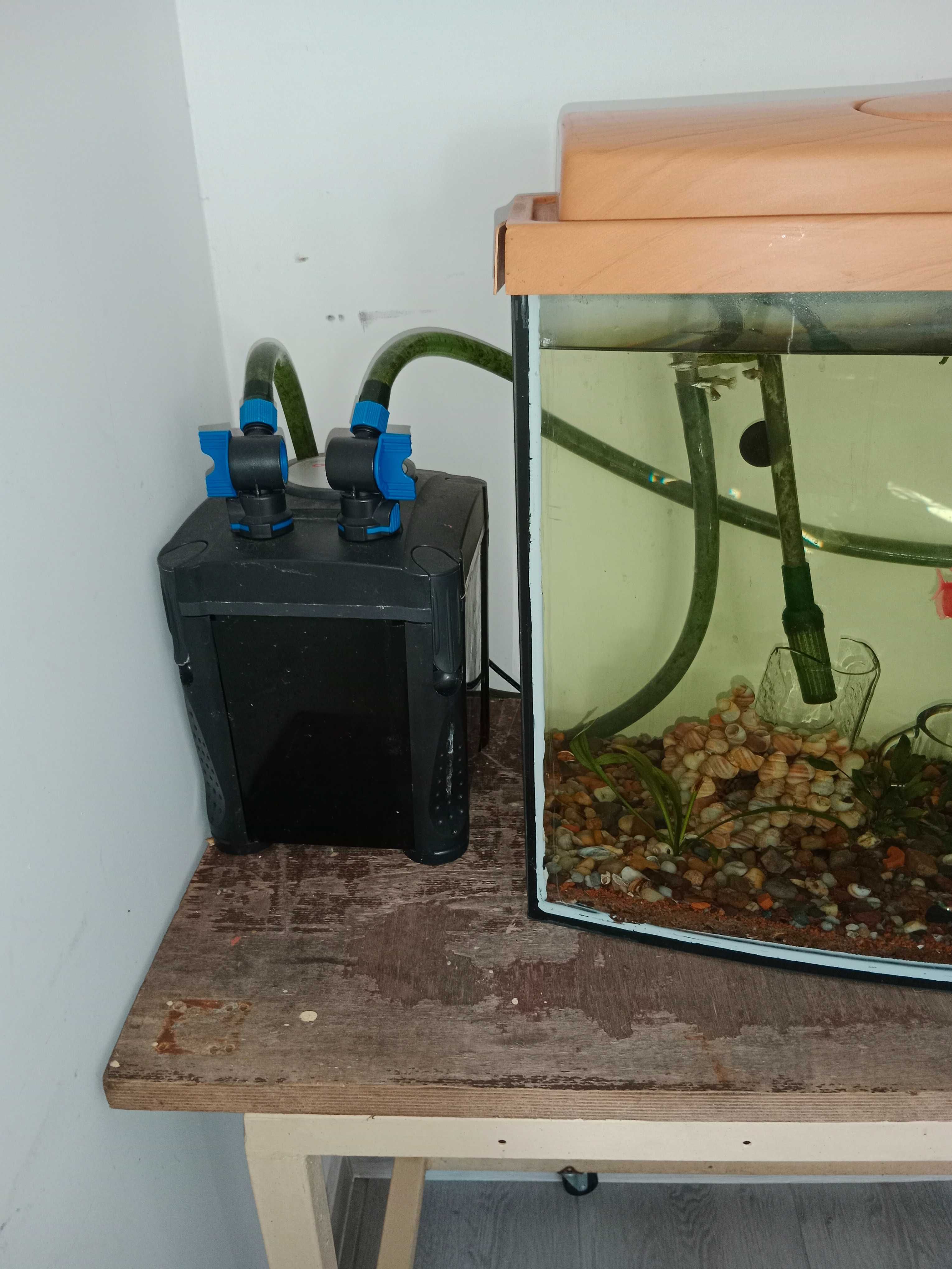 Akwarium ze stelażem filtr rybki komplet