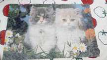 Puzzle Antigo 1000 Peças Gatinhos FX Schmid