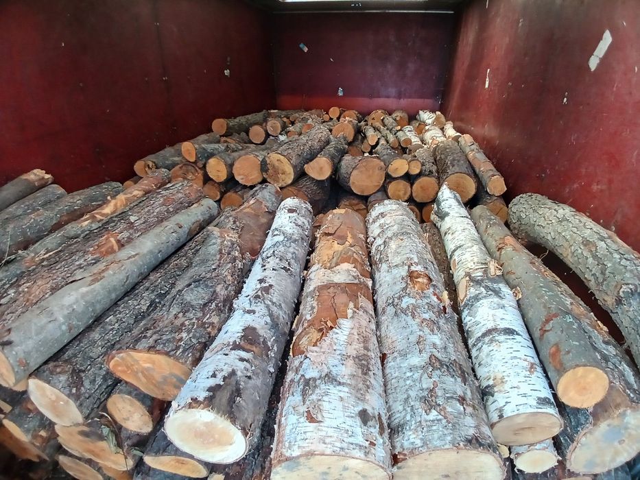 Дрова береза вільха сосна.