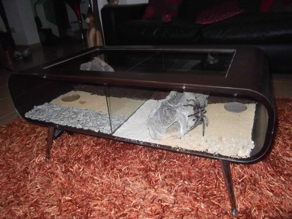 Mesa de centro de sala | Terrário (peça unica)