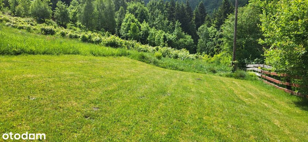 Sprzedam działkę budowlaną przy lesie w Brennej