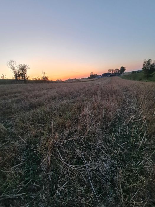 Działka rolno budowlana 82 Ar  Biskupice Proszowice widokowa duża