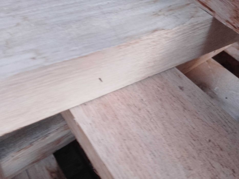 Gruba dębowa półka industrialna