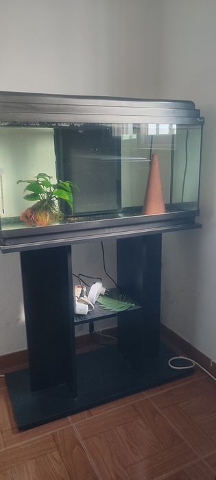Aquário 80 L aquatlantis e móvel