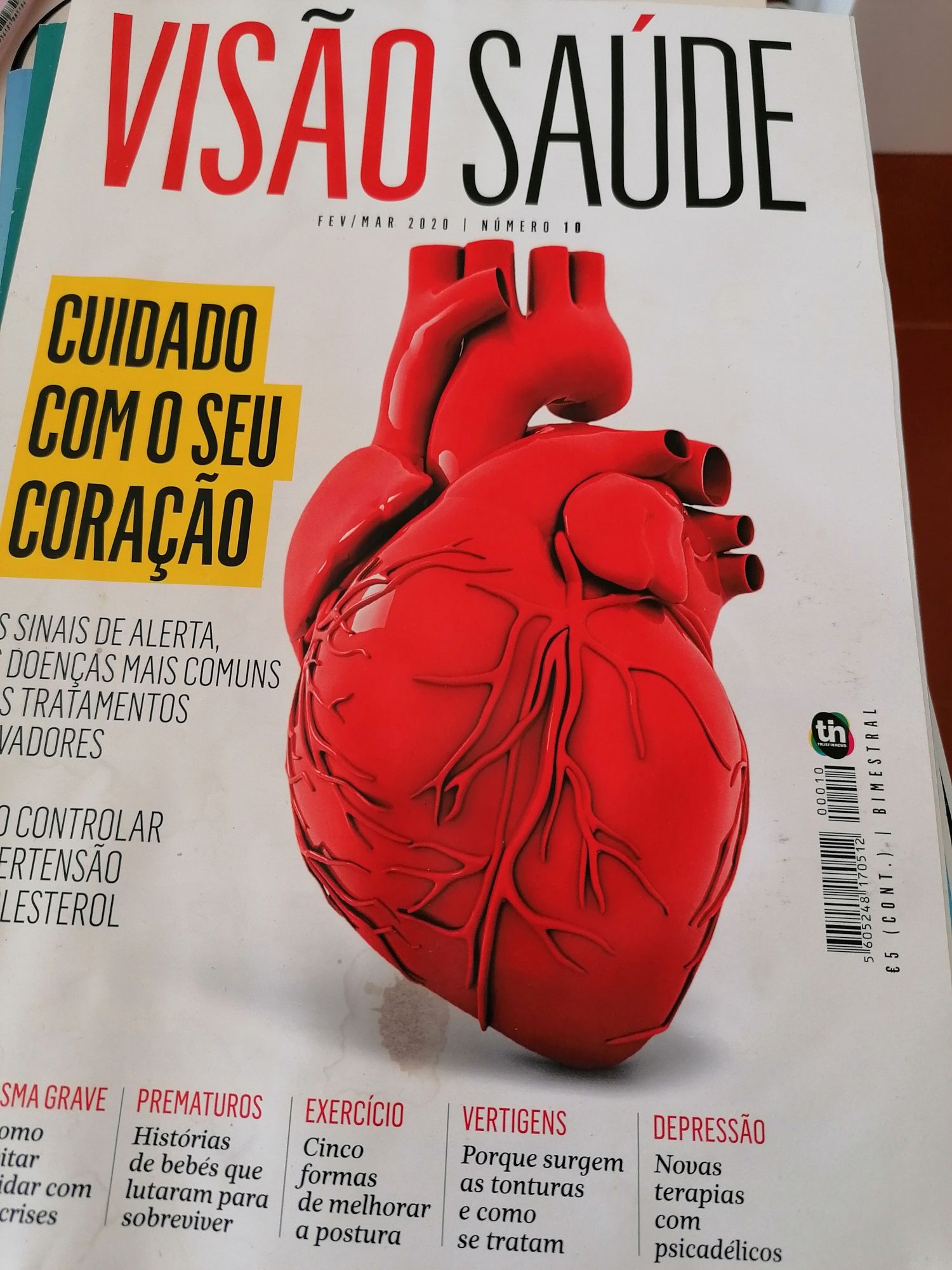 Revistas Visão Saúde