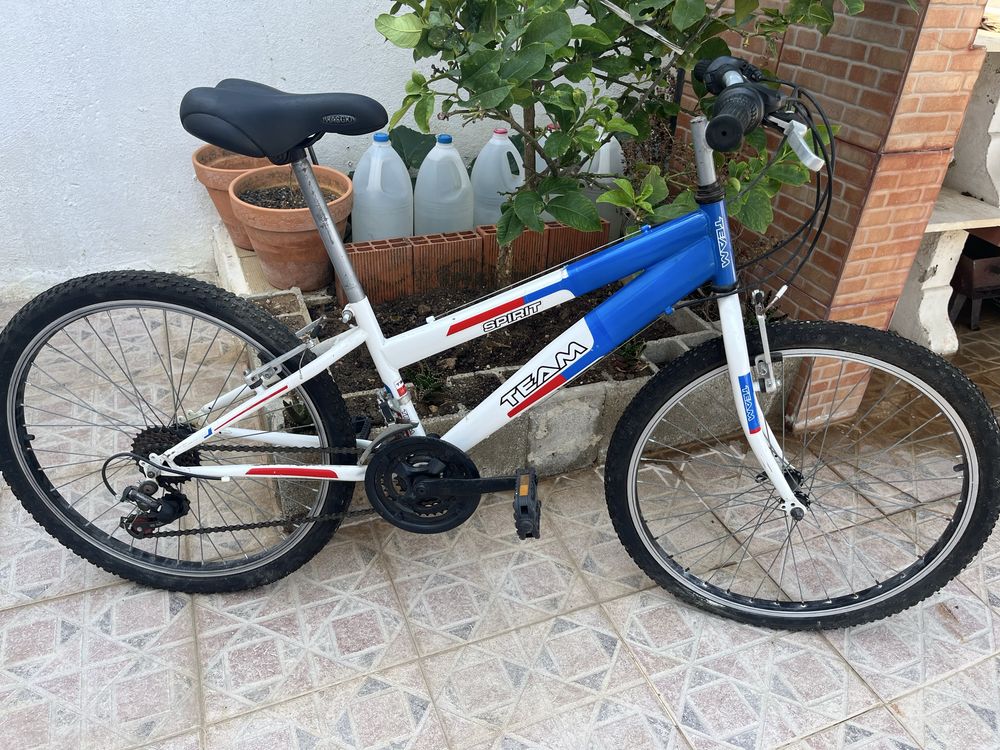 Vendo bicicleta Team spirit em bom estado