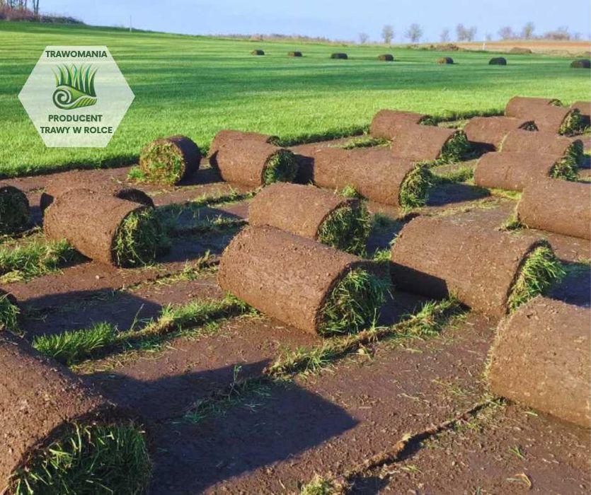 *** TRAWOMANIA - najlepsza trawa z rolki na Śląsku ***