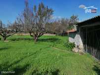 Arrumos com área de 800 m2