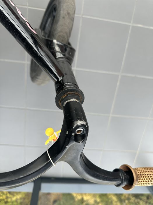 Rowerek biegowy Cariboo Magnesium pro