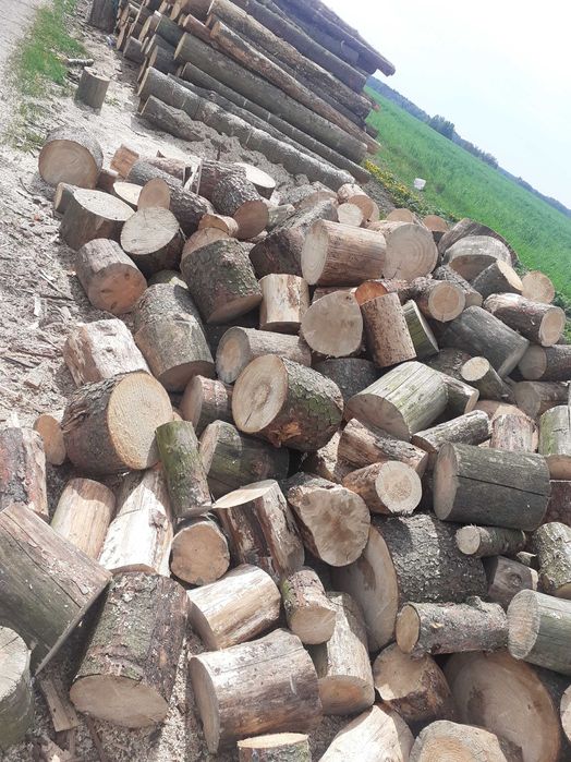 Drewno opałowe kominkowe