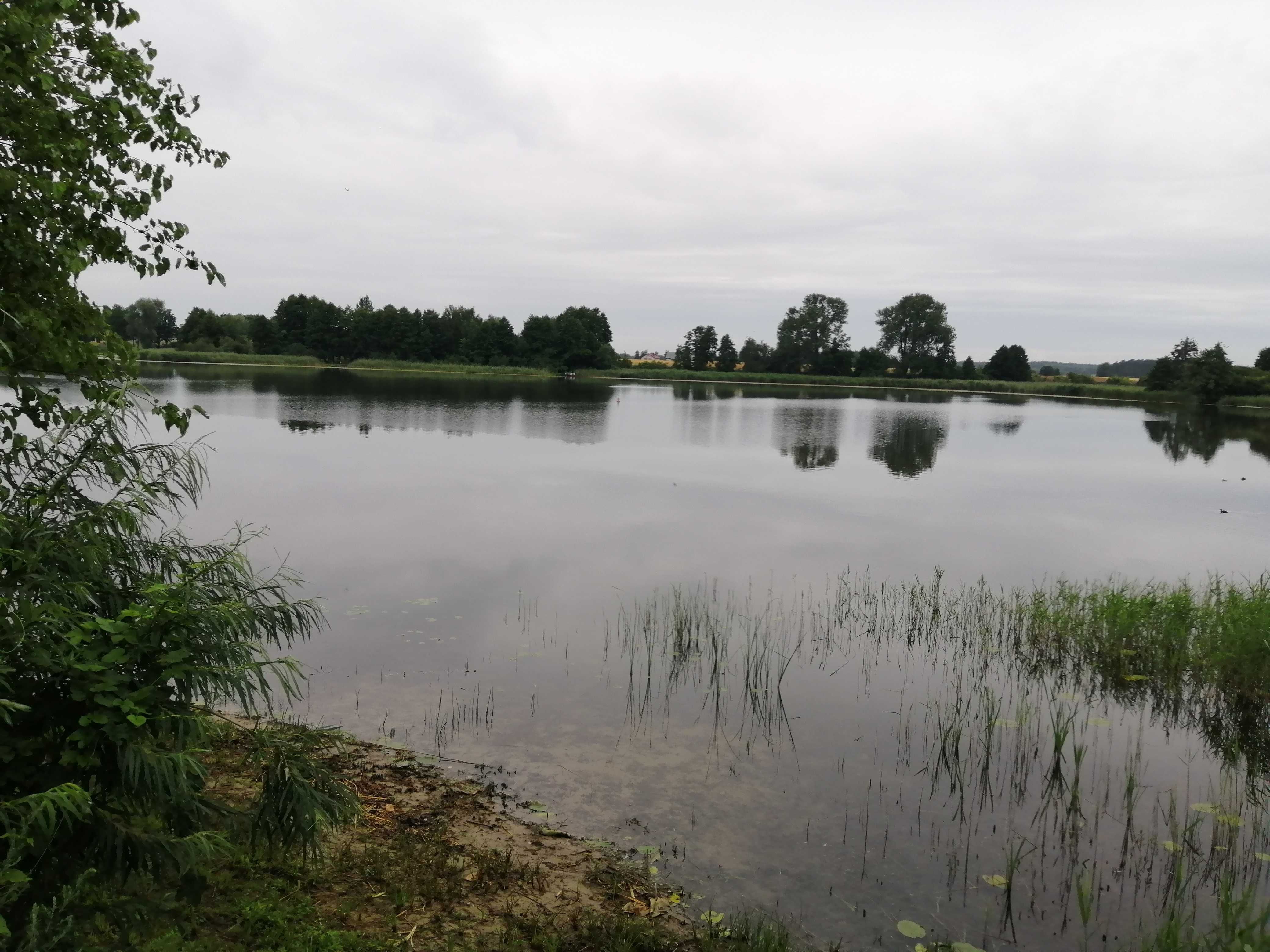 Siedlisko/ działki jezioro Gopło