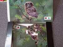 Puzzle dla dzieci sowa