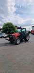 Ciągnik sadowniczy  McCormick  Landini rex F85