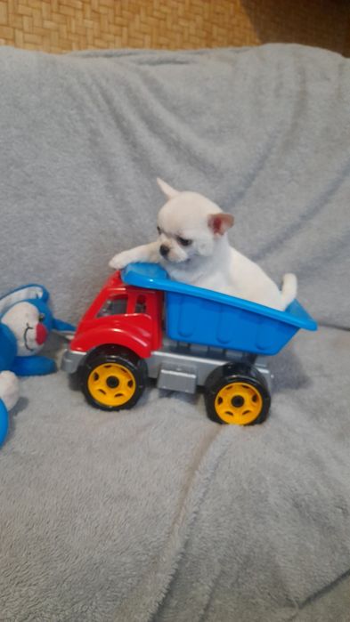 Щастя таки існує