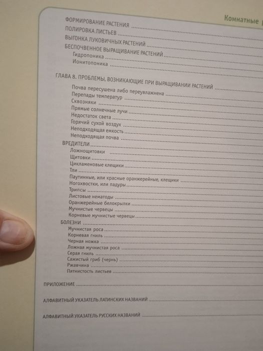 Комнатные растения от А до Я