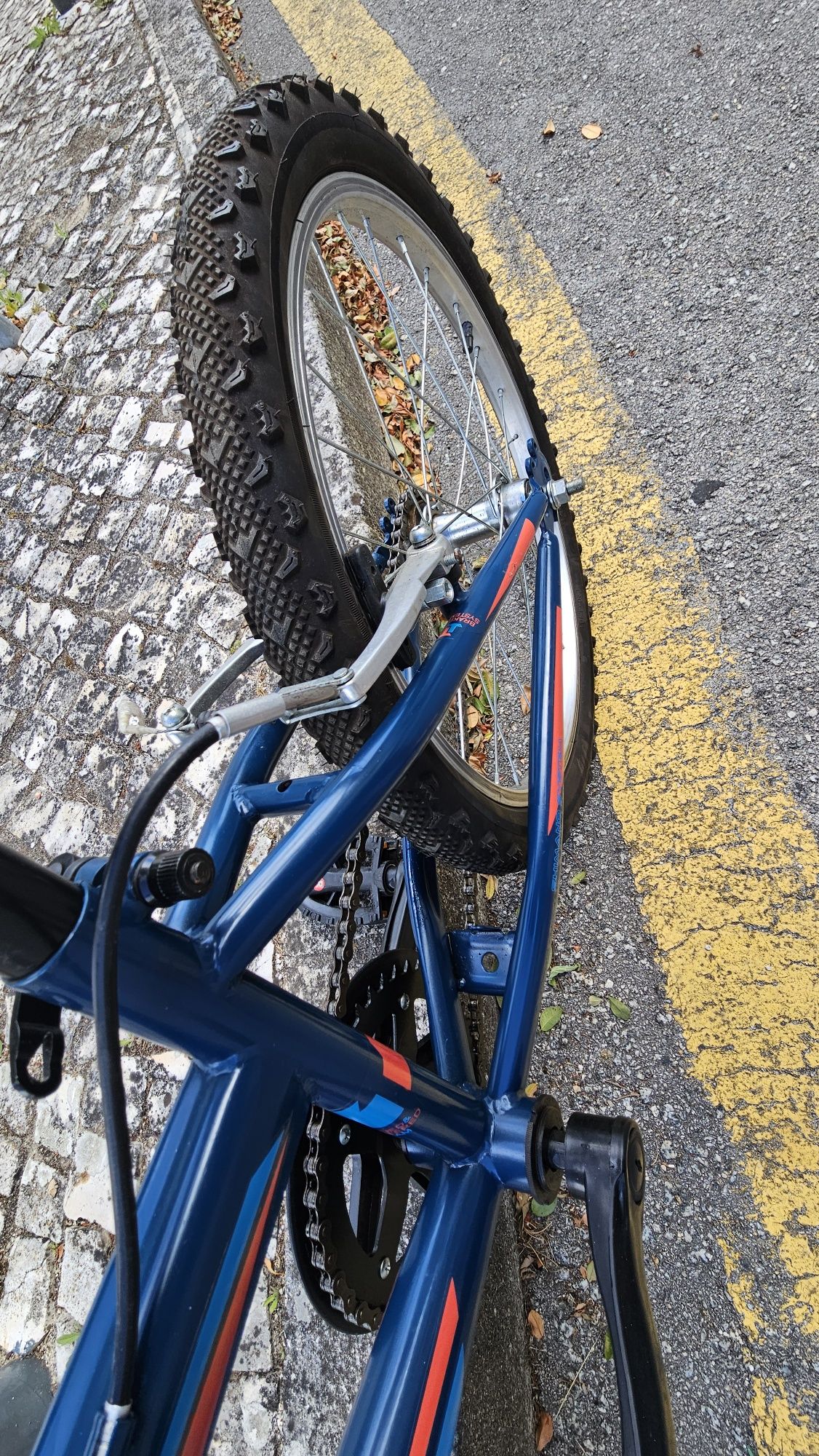 Bicicleta de Criança 20" [SEMI-NOVA]