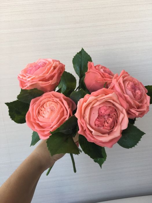 Шикарные  подарочные композиции ручной работы из холодного  фарфора