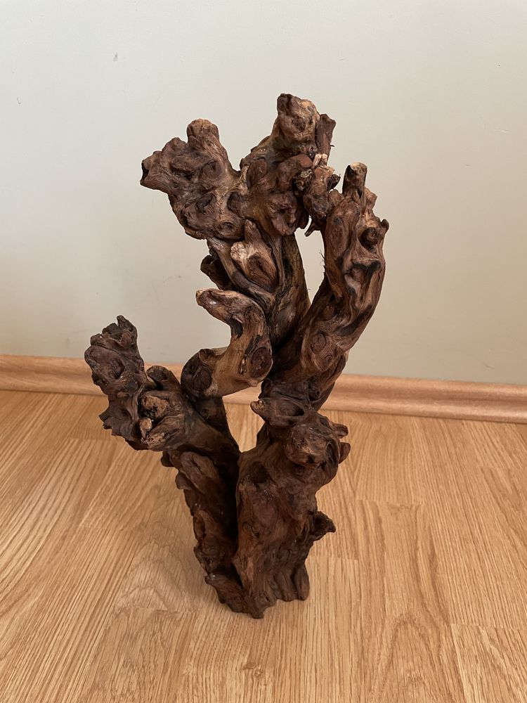Terrarium z wyposażeniem pionowe 40/40/60