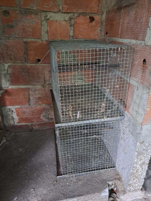 Varias gaiolas para dispensar