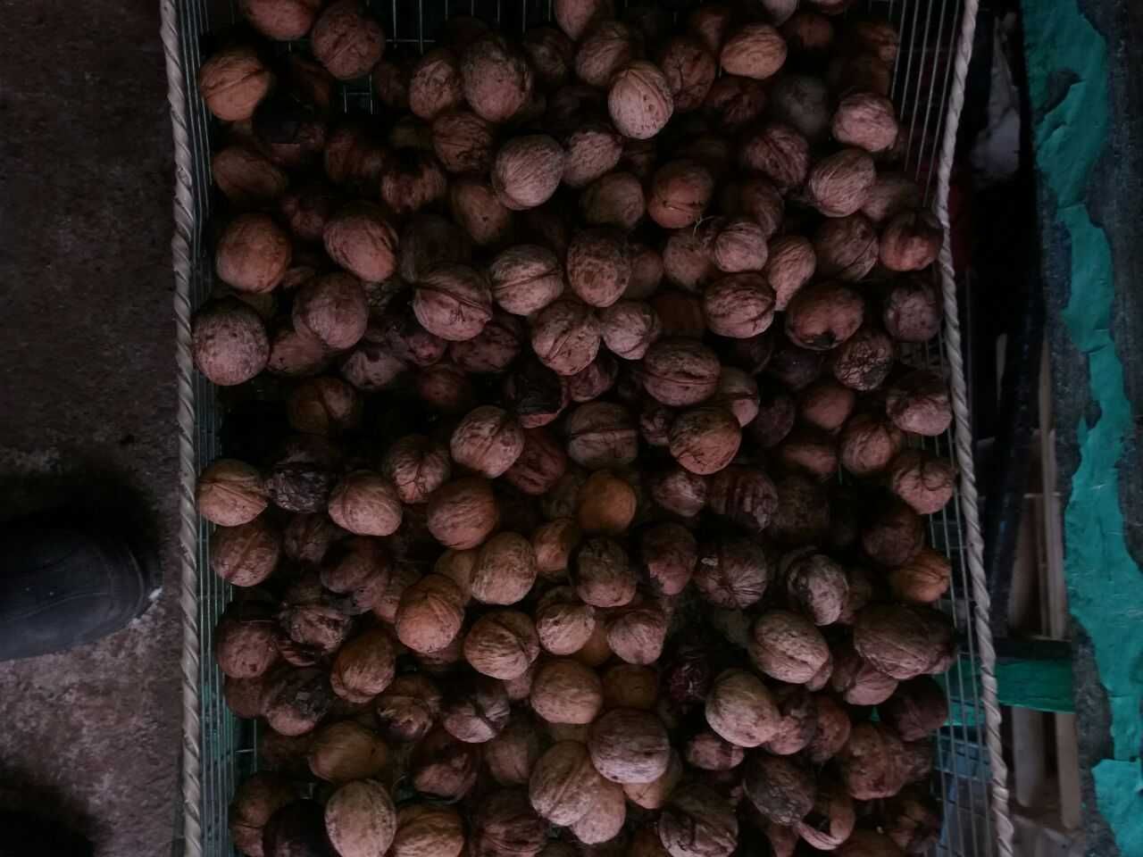 Орехи грецкие продам