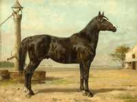 Rasy koni - Konie reprodukcje XIX w. grafik na prezent