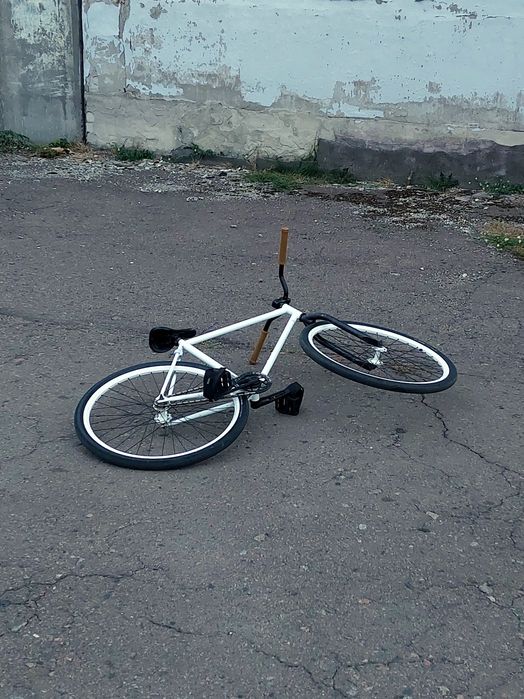 FGFS fixed gear free style