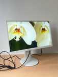 Монітор Fujitsu/ 24” / Full HD / IPS / 60 Гц