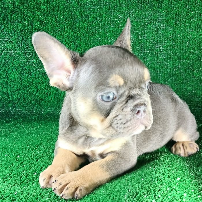 Французское чудо