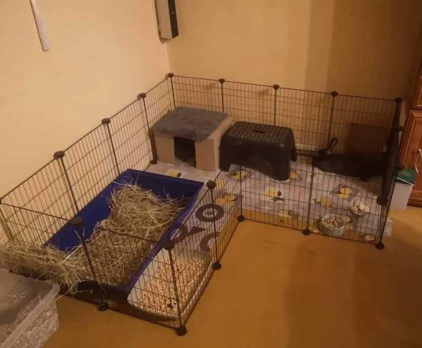 Metalowa zagroda kojec klatka dla królików świnek chomików 143x73x46