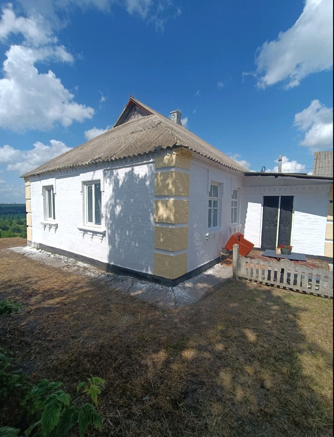 Продам будинок в с. Шкарівка, з найкращим краєвидом, Київська область