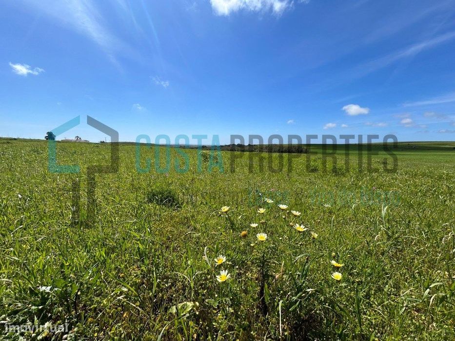 Terreno Agrícola em Vila do Bispo