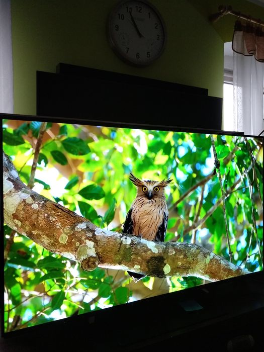 OLED Panasonic 55cali