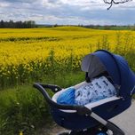 Stokke trailz 3w1