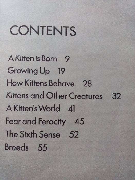 Kittens - Livro sobre Gatos cartonado excelentes ilustrações tam. A4