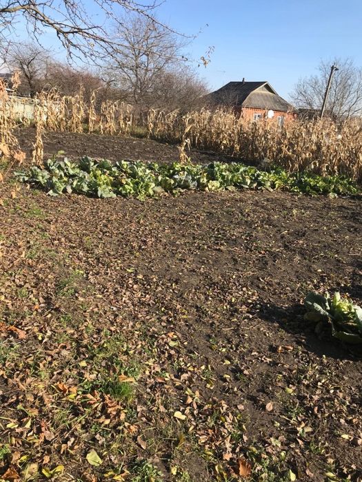 Дом в Хмельницкой обл. С. Лозовое