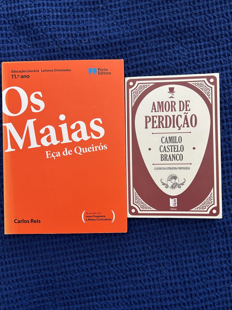 Amor de perdição + resumo  da obra “Os Maias” ambos novos