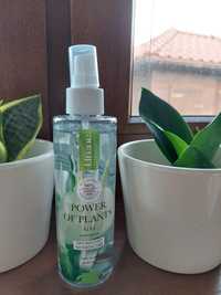 Tonik Lirene power of plant aloe