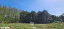 Drogoszowice koło Twardogóry/otoczenie lasów