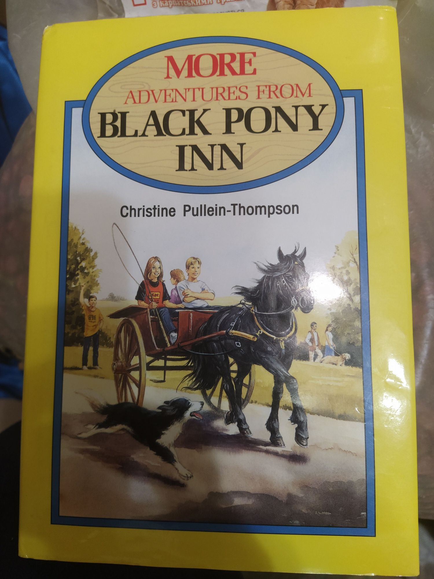 Книга More adventure from Black Pony Inn