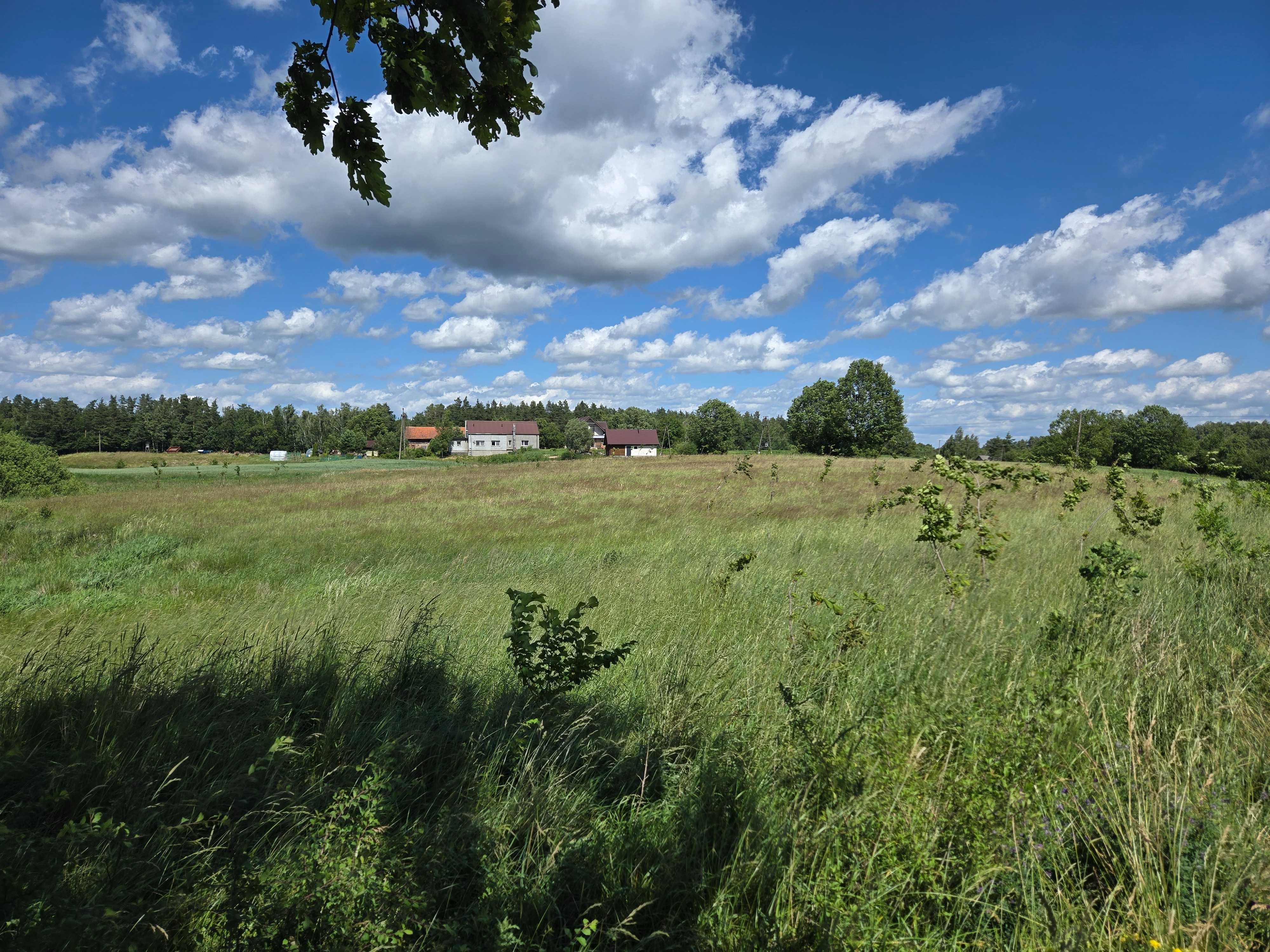 Działka rolno-budowlana z WZ 1.28ha Florczaki,5km od Kretowin