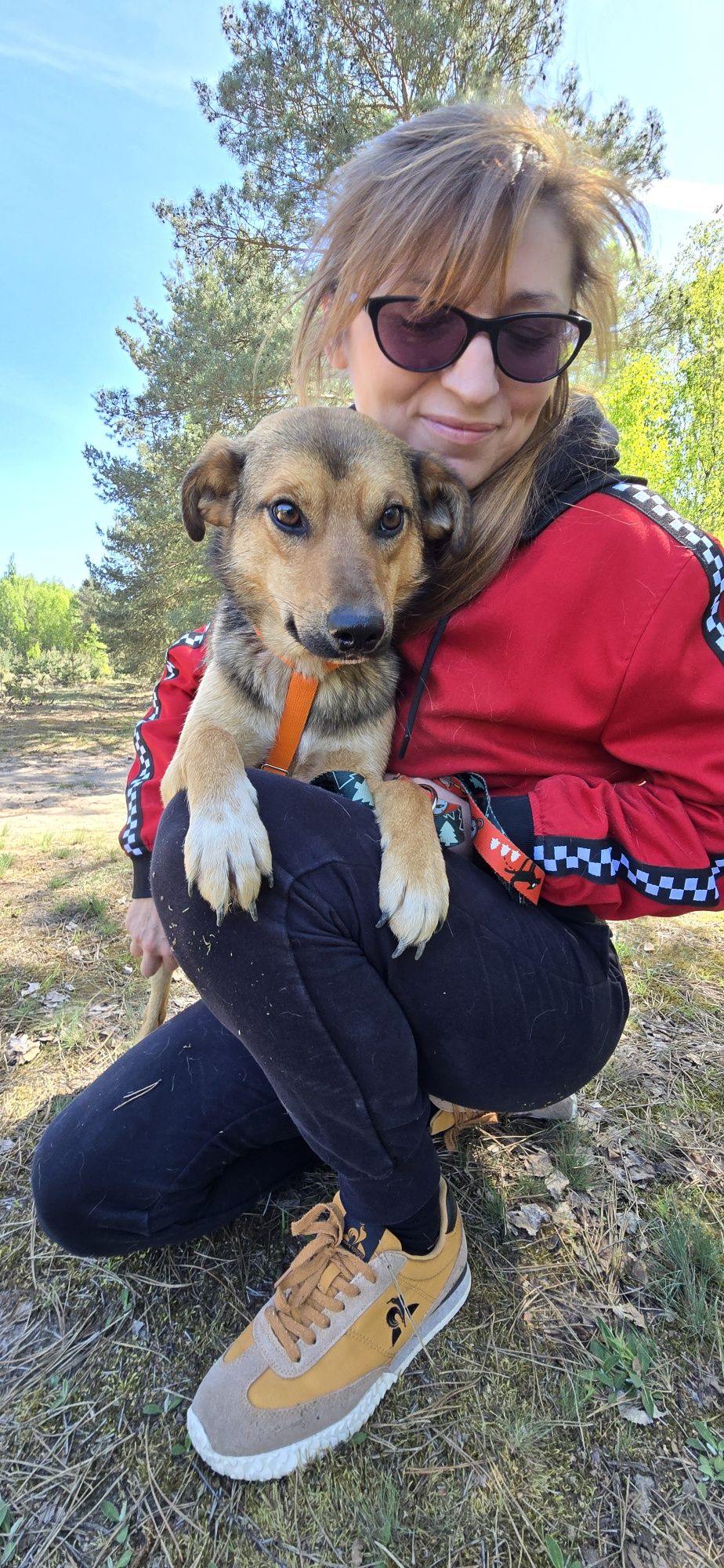 Lukier  młodziutki piesek do adopcji