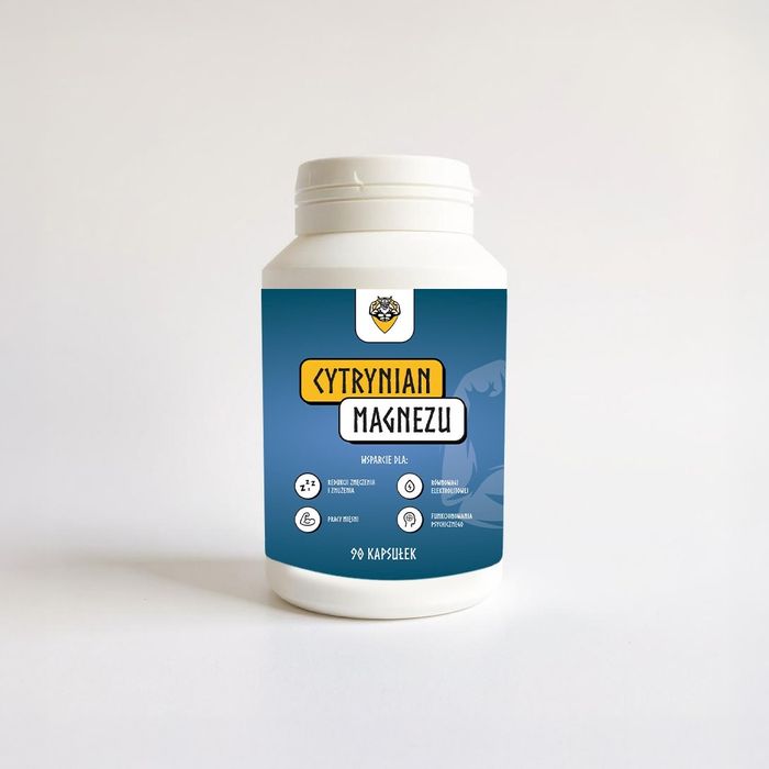 VIKING Cytrynian Magnezu 90 kaps. - pamięć, skupienie, brak skurczy