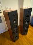 Dynaudio audience 82