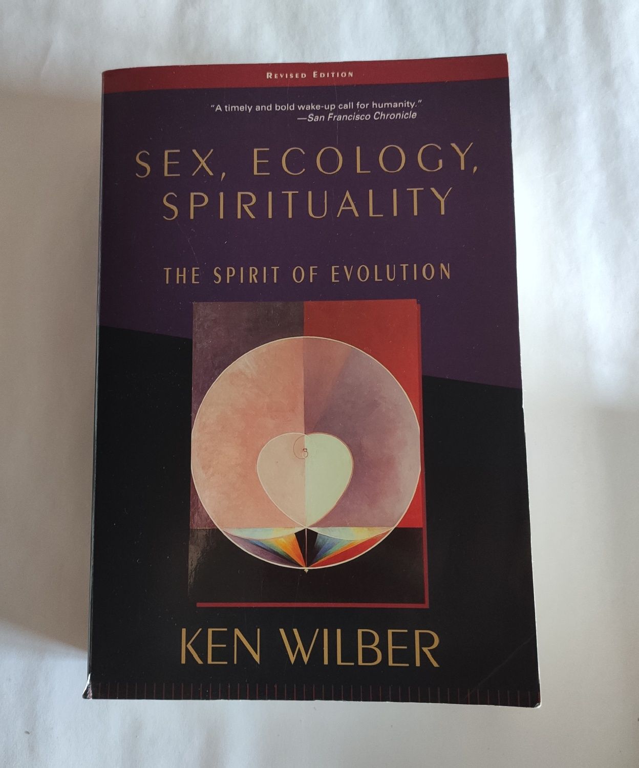 Ken Wilber "Sex, Ecology, Spirituality: The Spirit of Evolution"