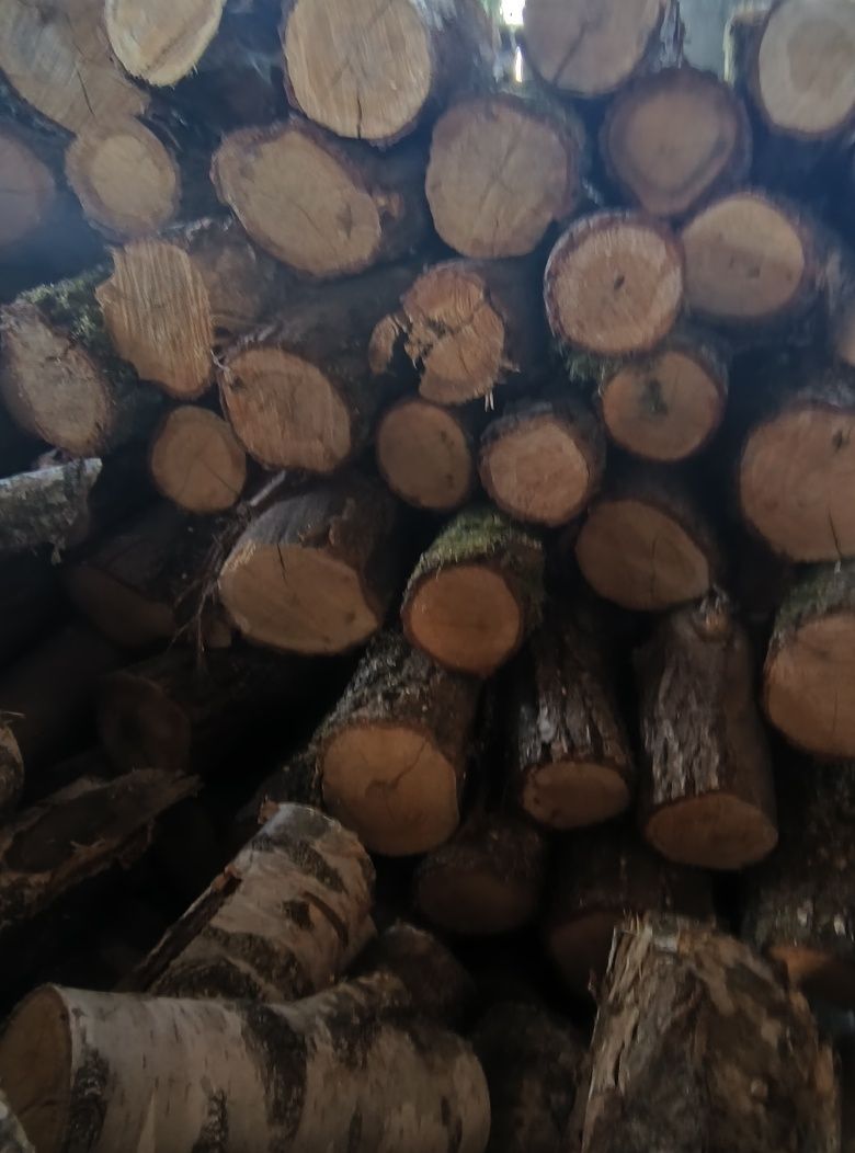 Witam sprzedam drewno opałowe i kominkowe