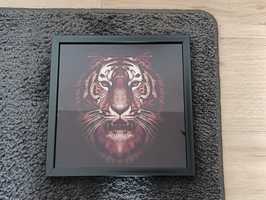 Obraz tygrys szkło