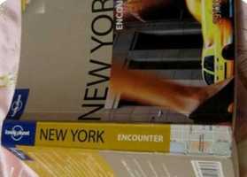 Книга на английском языке new york encounter