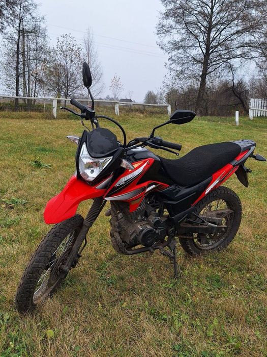 Продам лонсін прус