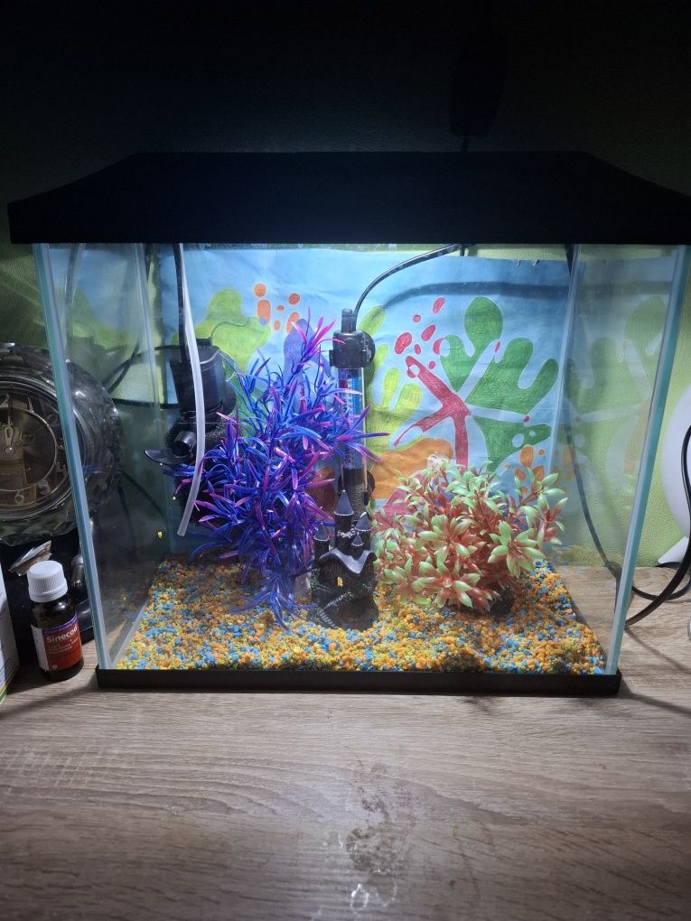 Akwarium stan bdb 19 L
