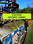 Trawa w rolkach Barenbrug II gatunek dostępne 15000m2